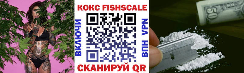 КОКАИН FishScale  Купить закладки  Талдом 