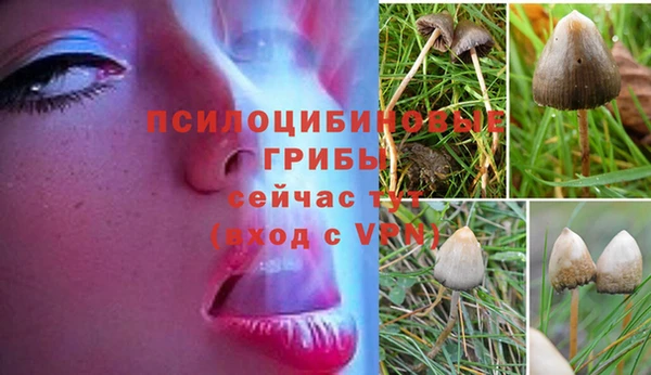 бошки Саяногорск
