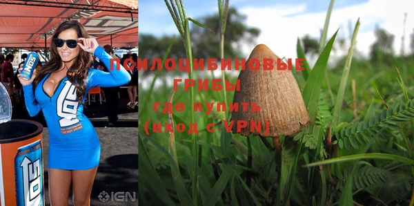 mdpv Сатка