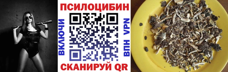 Псилоцибиновые грибы мухоморы  Купить  Талдом 